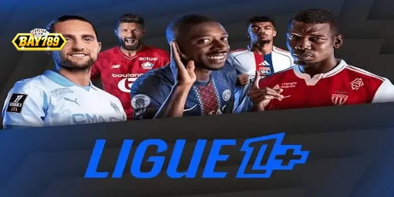 Biểu đồ thống kê phong độ và lịch sử đối đầu các đội bóng Ligue 1